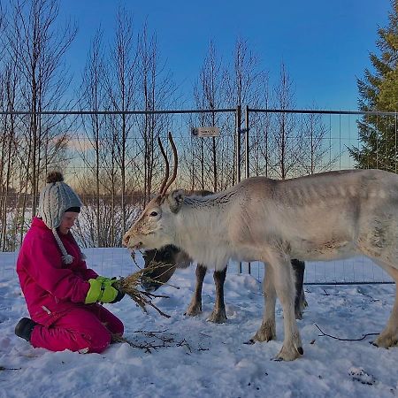 فيلا Beautiful Rural Experience With Reindeer Tervola المظهر الخارجي الصورة