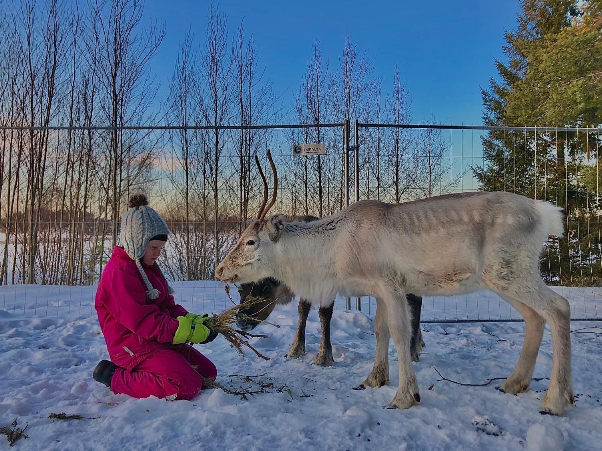 فيلا Beautiful Rural Experience With Reindeer Tervola المظهر الخارجي الصورة