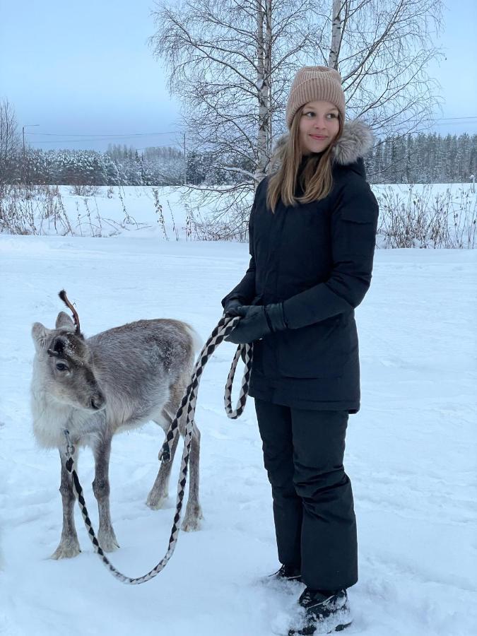 فيلا Beautiful Rural Experience With Reindeer Tervola المظهر الخارجي الصورة