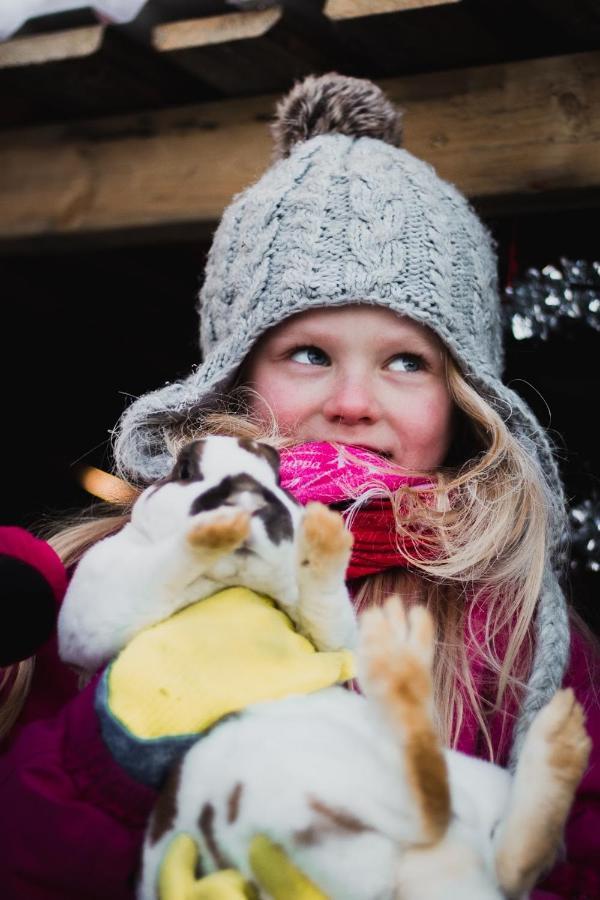 فيلا Beautiful Rural Experience With Reindeer Tervola المظهر الخارجي الصورة